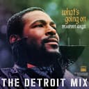 Cover of the album What's Going On by the band Marvin Gaye
